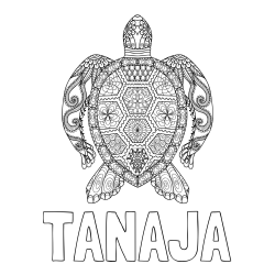 Online izdelana pobarvanka - Pobarvanka imena TANAJA in pobarvanka želve - mandale