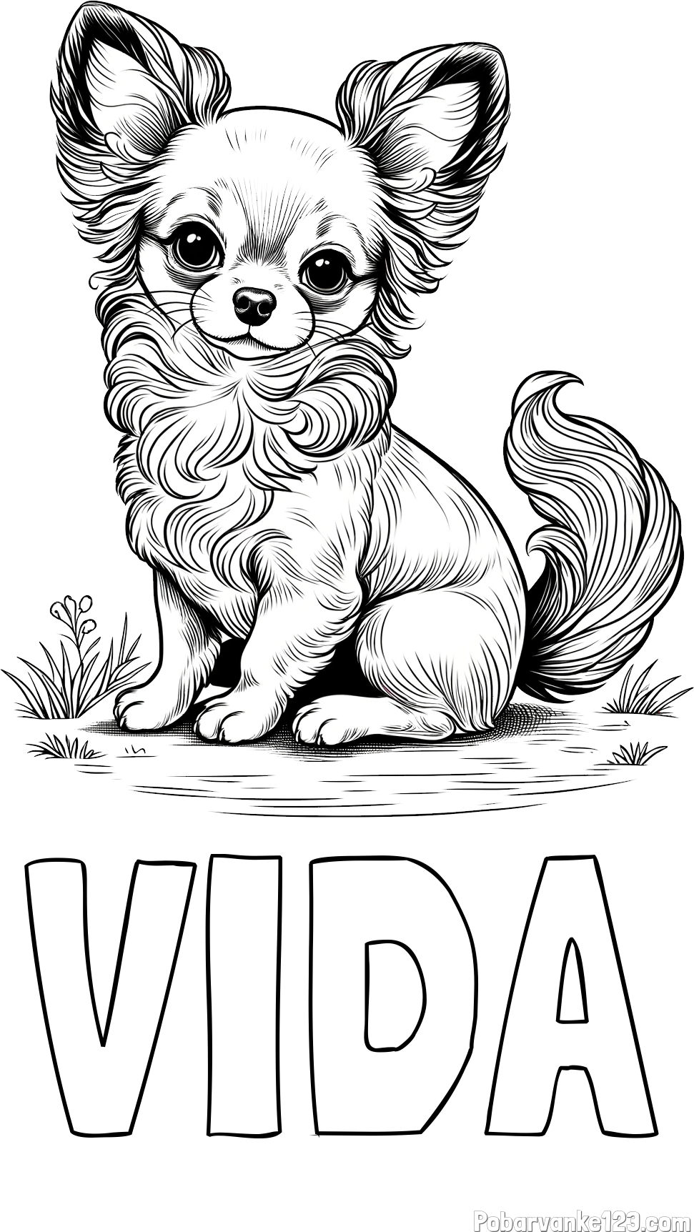 Pobarvanka imena VIDA in pobarvanka ljubke čivave