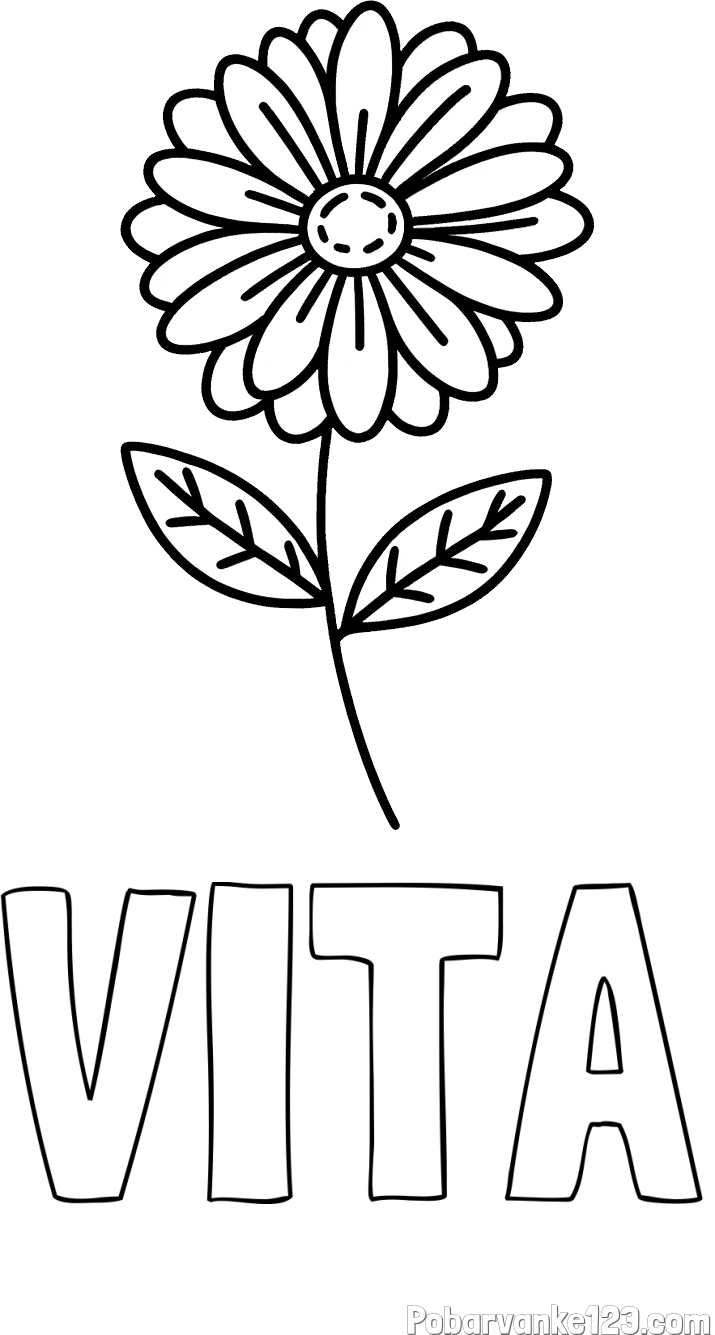 Pobarvanka imena VITA in pobarvanka rožice