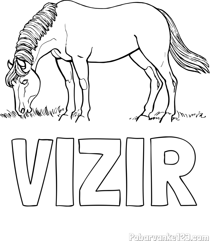 Pobarvanka imena VIZIR in pobarvanka konja med pašo