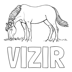 Online izdelana pobarvanka - Pobarvanka imena VIZIR in pobarvanka konja med pašo