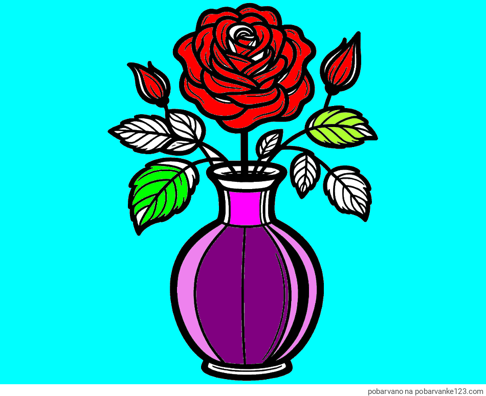 POBARVANA POBARVANKA - Pobarvanka čudovite vrtnice v vazi