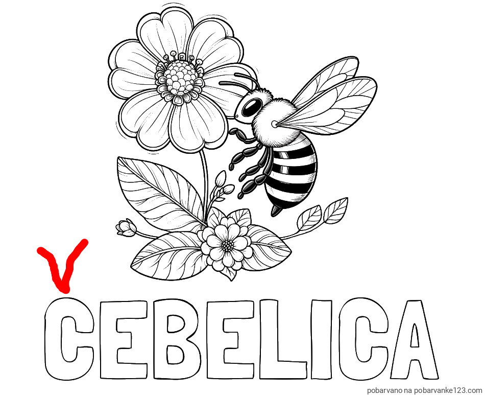 POBARVANA POBARVANKA - Pobarvanka imena ČEBELICA in otroška pobarvanka čebelice in rožice