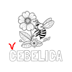 Pobarvana pobarvanka - Pobarvanka imena ČEBELICA in otroška pobarvanka čebelice in rožice