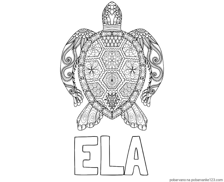 POBARVANA POBARVANKA - Pobarvanka imena ELA in pobarvanka želve - mandale