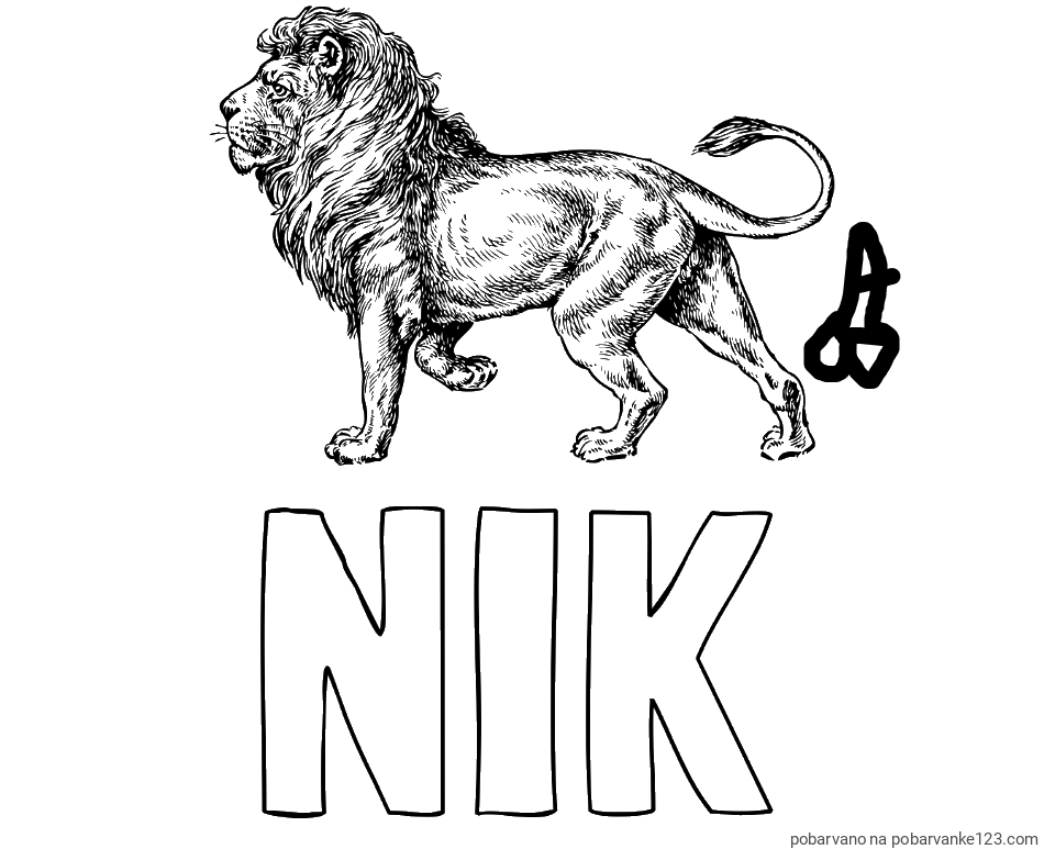 POBARVANA POBARVANKA - Pobarvanka imena NIK in pobarvanka leva