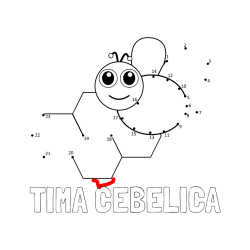 Pobarvana pobarvanka - Pobarvanka imena TIMA CEBELICA in pobarvanka čebelice in satja - poveži številke