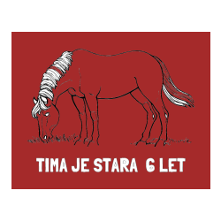 Pobarvana pobarvanka - Pobarvanka imena TIMA JE STARA  6 LET in pobarvanka konja med pašo