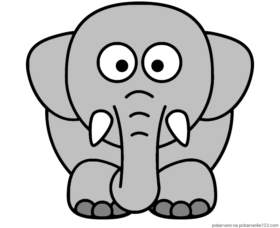 POBARVANA POBARVANKA - Pobarvanka slona