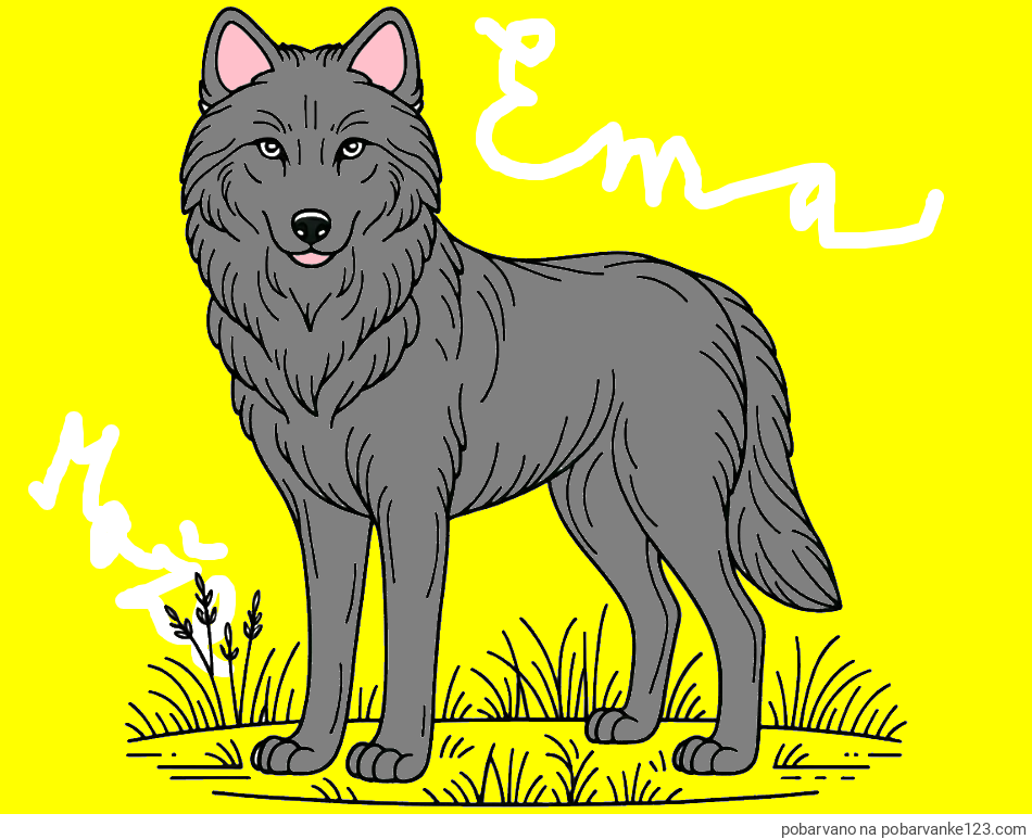POBARVANA POBARVANKA - Pobarvanka volka