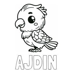 Online izdelana pobarvanka - Pobarvanka imena AJDIN in pobarvanka ljubkega papagaja