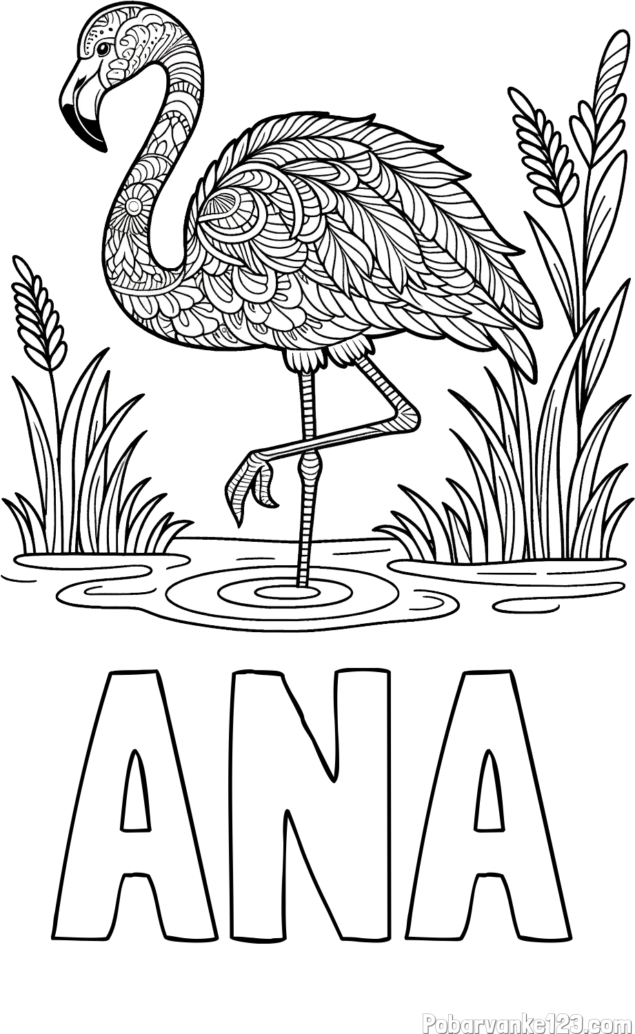 Pobarvanka imena ANA in pobarvanka flaminga z abstraktnimi vzorci