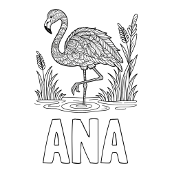 Online izdelana pobarvanka - Pobarvanka imena ANA in pobarvanka flaminga z abstraktnimi vzorci