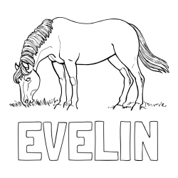 Online izdelana pobarvanka - Pobarvanka imena EVELIN in pobarvanka konja med pašo