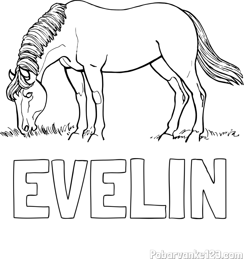 Pobarvanka imena EVELIN in pobarvanka konja med pašo
