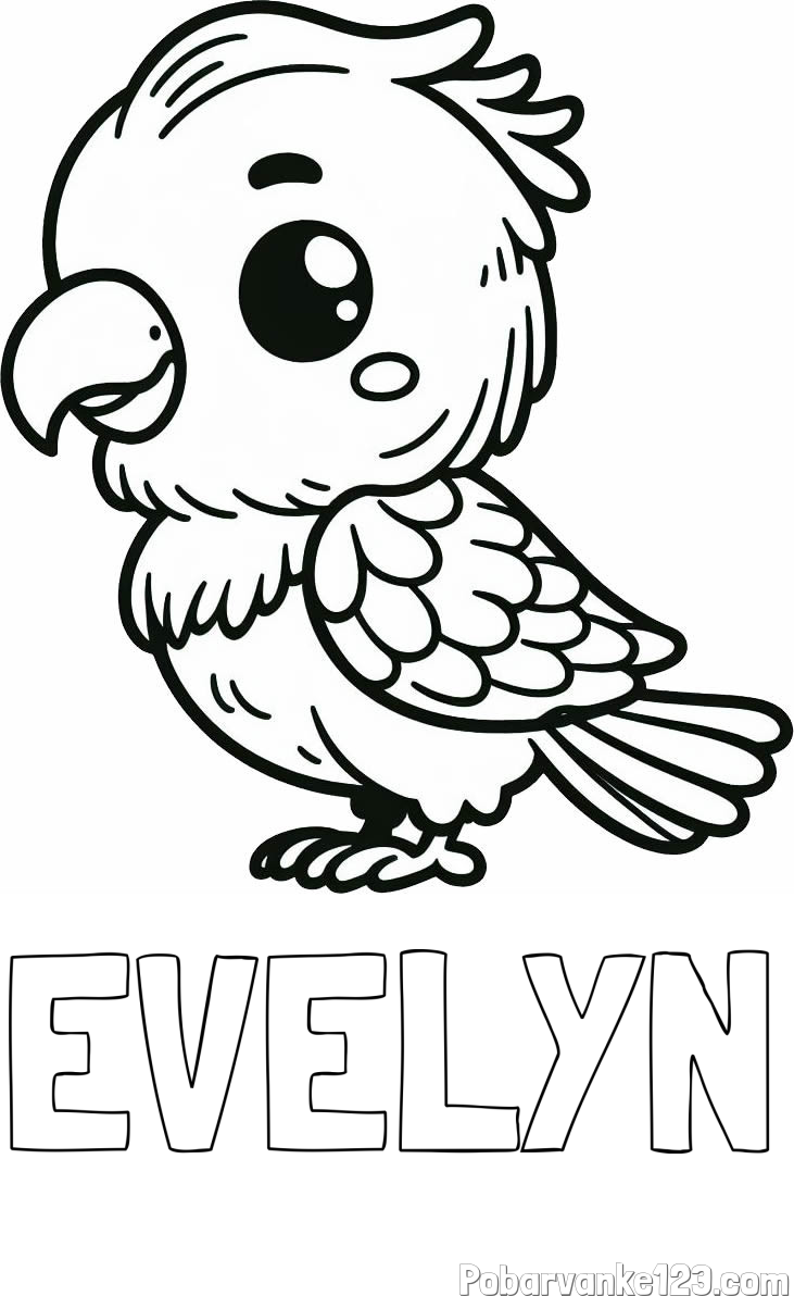 Pobarvanka imena EVELYN in pobarvanka ljubkega papagaja
