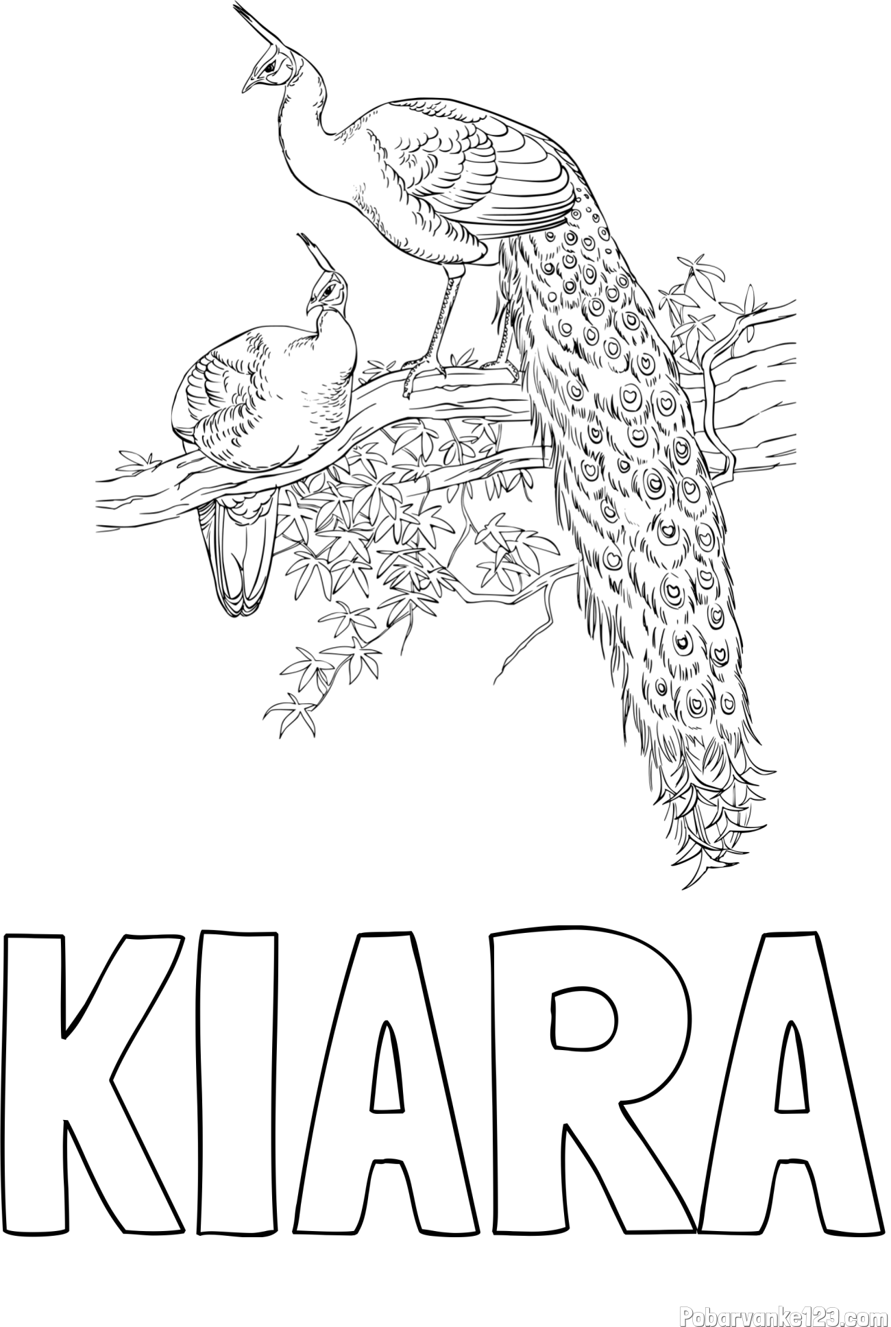 Pobarvanka imena KIARA in pobarvanka pava