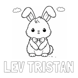 Online izdelana pobarvanka - Pobarvanka imena LEV TRISTAN in pobarvanka prikupnega zajčka