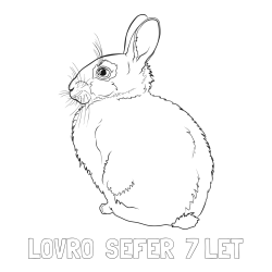 Online izdelana pobarvanka - Pobarvanka imena LOVRO  ŠEFER  7 LET in pobarvanka debelega zajca