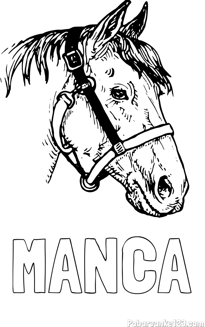 Pobarvanka imena MANCA in konjska glava