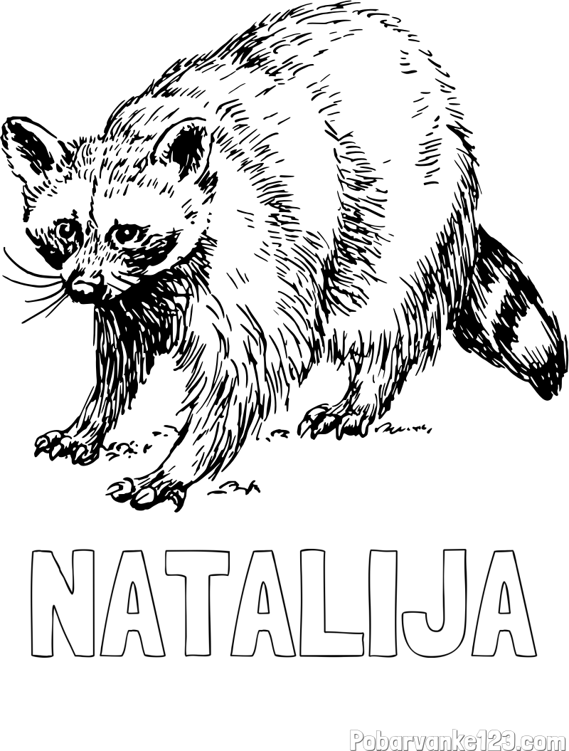 Pobarvanka imena NATALIJA in pobarvanka jazbeca