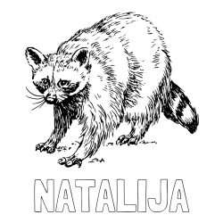 Online izdelana pobarvanka - Pobarvanka imena NATALIJA in pobarvanka jazbeca