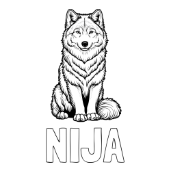 Online izdelana pobarvanka - Pobarvanka imena NIJA in pobarvanka prijaznega volka