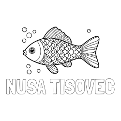 Online izdelana pobarvanka - Pobarvanka imena NUŠA TISOVEC in pobarvanka ribe