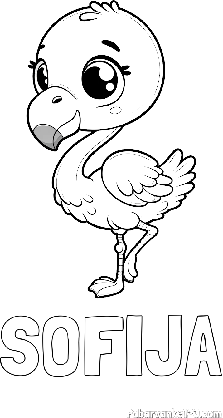 Pobarvanka imena SOFIJA in otroška pobarvanka flaminga