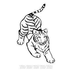 Online izdelana pobarvanka - Pobarvanka imena TEO TEO TEO TEO TEO in pobarvanka velikega tigra