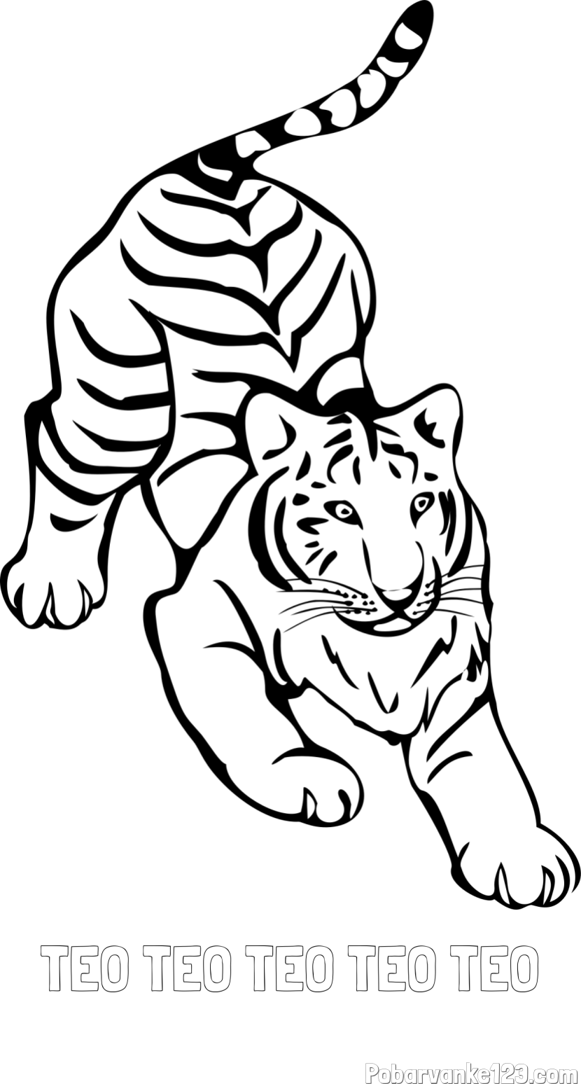 Pobarvanka imena TEO TEO TEO TEO TEO in pobarvanka velikega tigra