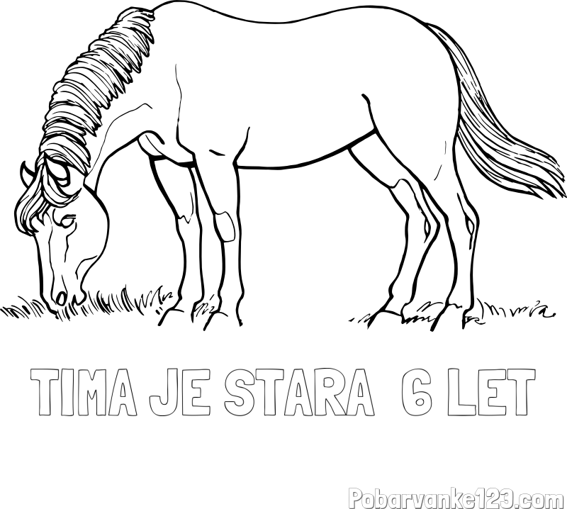 Pobarvanka imena TIMA JE STARA  6 LET in pobarvanka konja med pašo