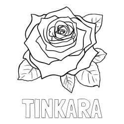 Online izdelana pobarvanka - Pobarvanka imena TINKARA in pobarvanka vrtnice