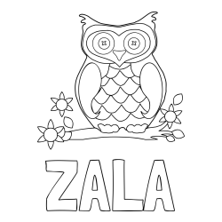 Online izdelana pobarvanka - Pobarvanka imena ZALA in pobarvanka sove