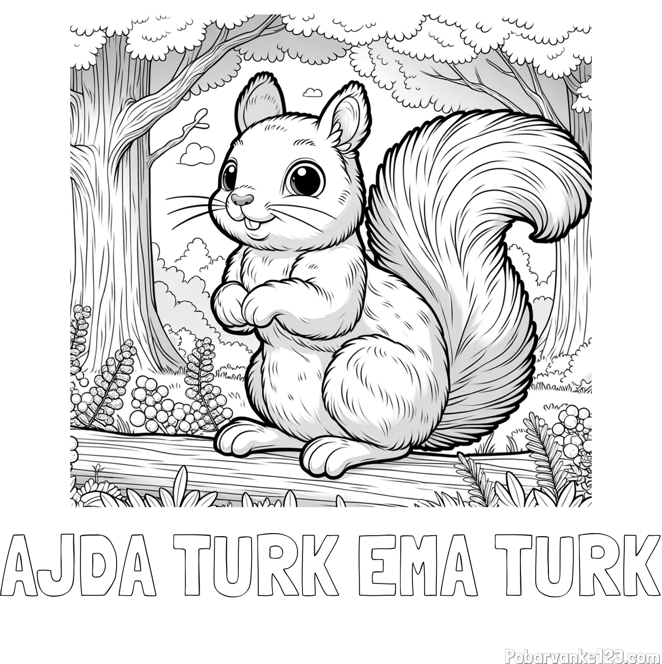 Pobarvanka imena AJDA TURK EMA TURK in pobarvanka veverice v gozdu