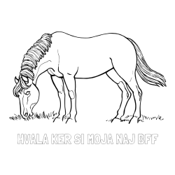 Online izdelana pobarvanka - Pobarvanka imena HVALA KER SI MOJA NAJ BFF in pobarvanka konja med pašo