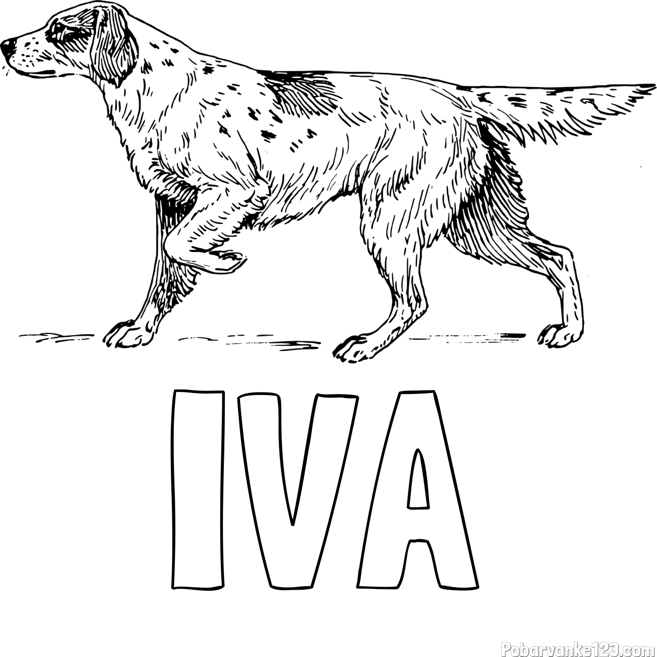 Pobarvanka imena IVA in pobarvanka lovskega psa na lovu