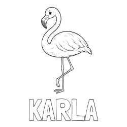 Online izdelana pobarvanka - Pobarvanka imena KARLA in pobarvanka flaminga