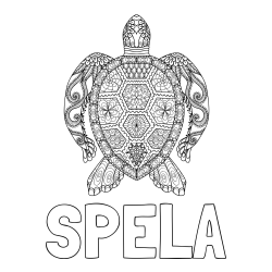 Online izdelana pobarvanka - Pobarvanka imena SPELA in pobarvanka želve - mandale
