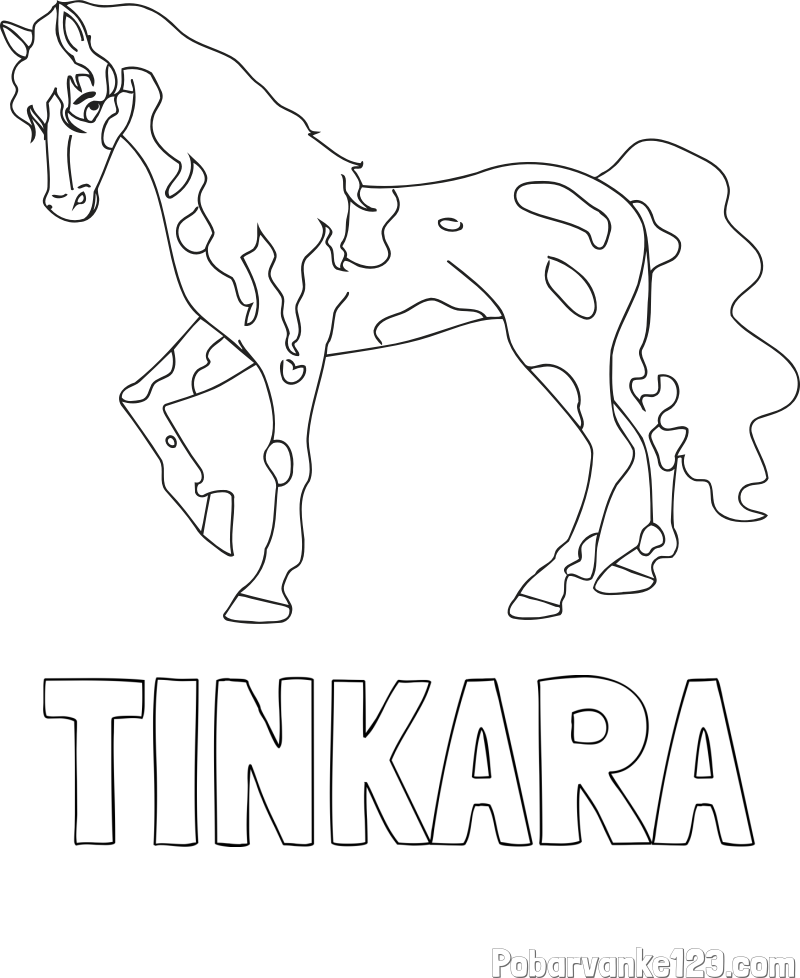Pobarvanka imena TINKARA in pobarvanka lisastega konja