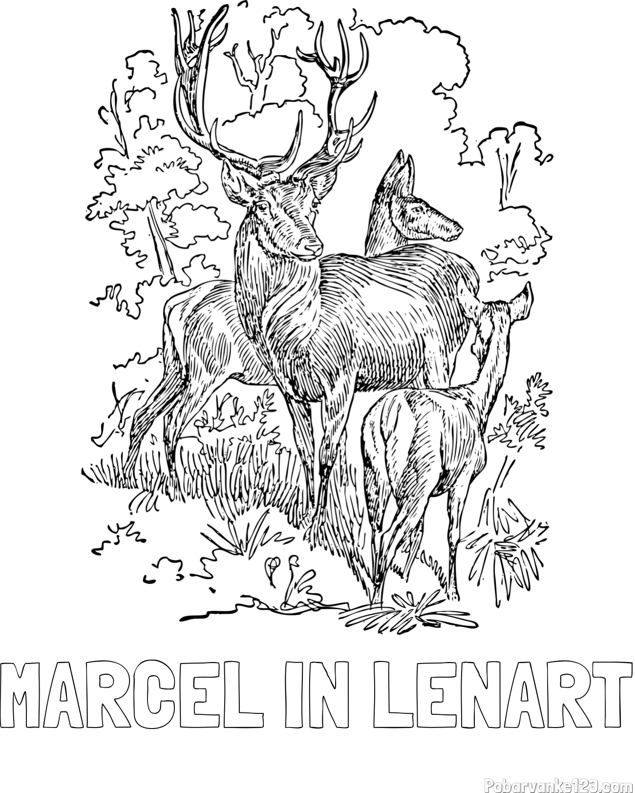 Pobarvanka imena MARCEL IN LENART in pobarvanka jelena, srne ter mladička