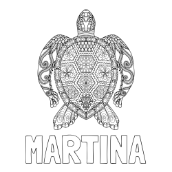 Online izdelana pobarvanka - Pobarvanka imena MARTINA in pobarvanka želve - mandale