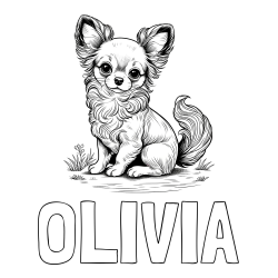 Online izdelana pobarvanka - Pobarvanka imena OLIVIA in pobarvanka ljubke čivave