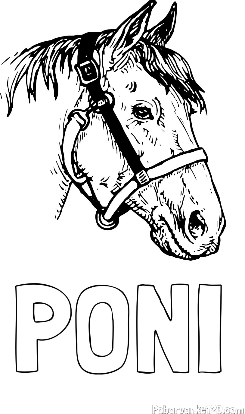 Pobarvanka imena PONI in konjska glava