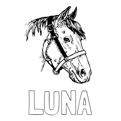 Online izdelana pobarvanka - Pobarvanka imena LUNA in konjska glava