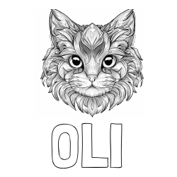 Online izdelana pobarvanka - Pobarvanka imena OLI in pobarvanka mačke