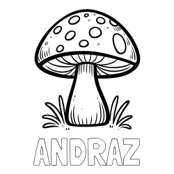 Online izdelana pobarvanka - Pobarvanka imena ANDRAZ in pobarvanka gobe