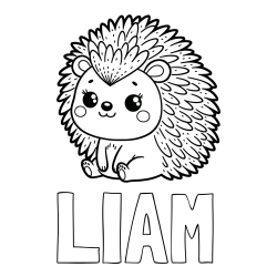 Online izdelana pobarvanka - Pobarvanka imena LIAM in pobarvanka nasmejanega ježka