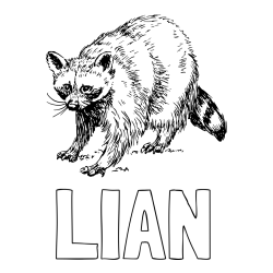 Online izdelana pobarvanka - Pobarvanka imena LIAN in pobarvanka jazbeca