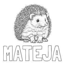 Online izdelana pobarvanka - Pobarvanka imena MATEJA in pobarvanka nasmejanega ježa